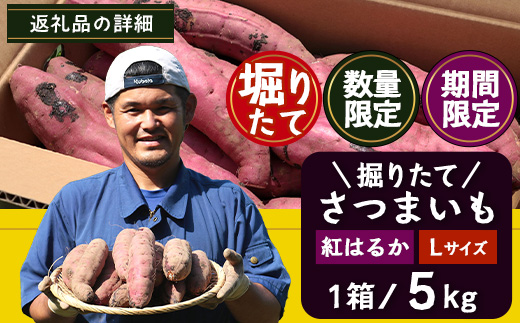 【先行予約：2026年9月中旬配送～】掘りたて さつまいも 紅はるか 5kg Sサイズ (おすそ分け袋／自宅で簡単レシピ付き）FR-202 | 秋の味覚 2026年秋収穫 新物 さつまいも サツマイモ 感動サツマイモ 焼き芋 べにはるか 小ぶり 野菜 おやつ おかず お弁当 煮物 芋ごはん 味噌汁 産地直送 鹿児島県 南大隅町 株式会社フォレスト