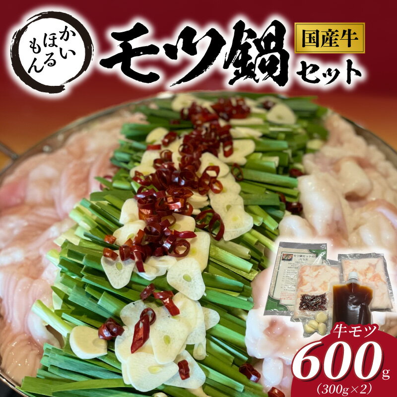 【ふるさと納税】モツ鍋 セット 牛モツ 牛ホルモン 牛肉 600g 下処理済 ホルモン 肉 醤油ベース 出汁 スープ にんにく 鷹の爪 ジューシー 鍋 食品 おかず グルメ 冷蔵 お手軽 宮崎県 延岡市 お取り寄せ 送料無料