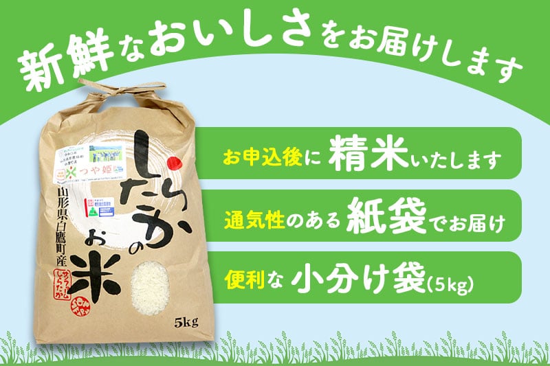 【6ヶ月定期便】【令和7年産】〈白米〉 つや姫 5kg×6回（特別栽培米）