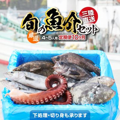 ふるさと納税 陸前高田市 【10ヶ月定期便】厳選 三陸海の恵み詰め合わせ 4〜5人用 下処理済 旬 鮮魚 海藻 新鮮