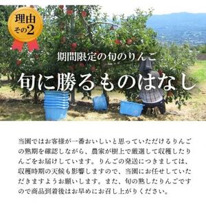 【南信州あじさい農園】葉とらずりんご(グラニースミス)約5kg【1593237】