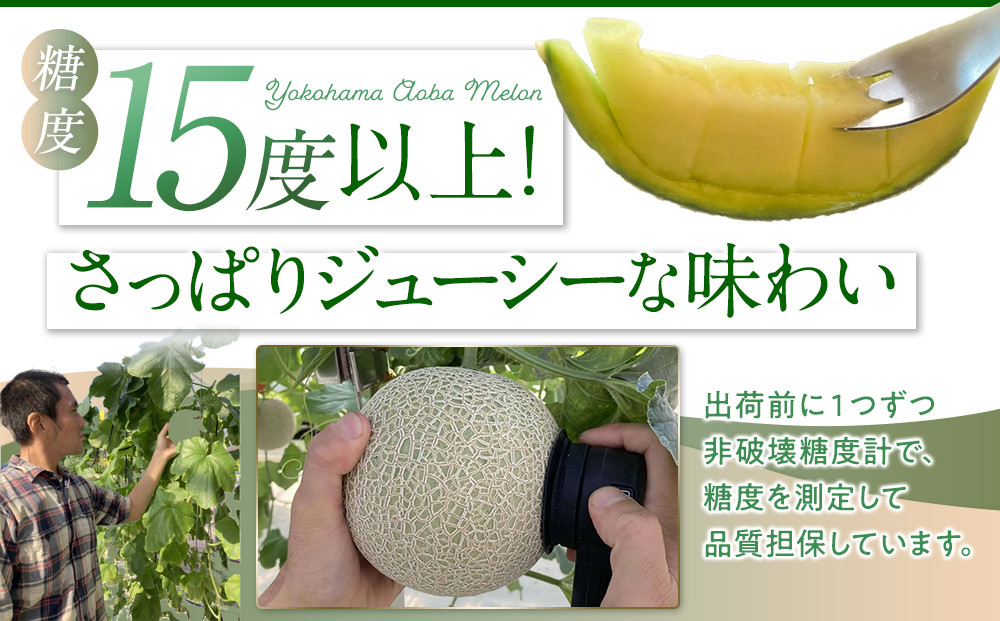 糖度１５度以上！横浜青葉メロン１玉（赤肉または青肉）