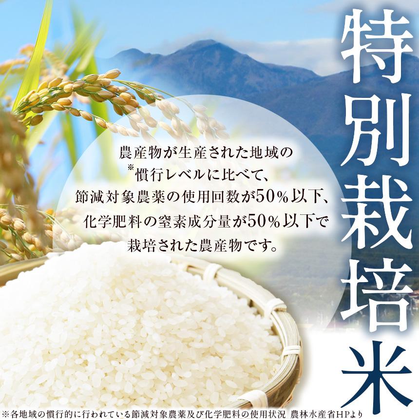 矢板市特別栽培米 お米 にじのきらめき 玄米 2kg |栃木県 矢板市 玄米 2kg | 5500円