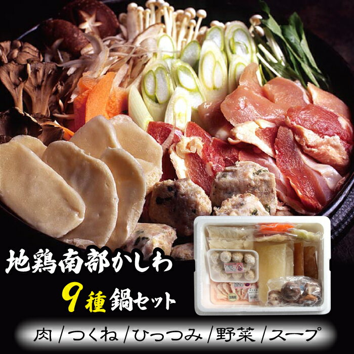 【ふるさと納税】 地鶏 南部かしわ ひっつみ 鍋 セット おすすめ 総量 2.4kg ／ 鶏肉 肉 お肉 つくね すいとん 地鶏スープ スープ 野菜 家庭用 自宅用 鍋パ おうちごはん お取り寄せ お中元 御中元 お歳暮 御歳暮 国産 パーティー ご当地 岩手県 雫石町 送料無料 九戸屋肉店