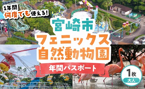 宮崎市フェニックス自然動物園年間パスポート（大人） 動物 動物園 イベント チケット 引換券 入園券 レストラン お土産 グルメ 宮崎市フェニックス自然動物園 高校生以上