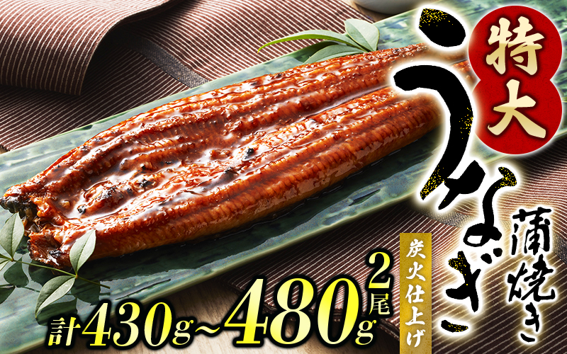 【通常配送】1尾で約215g～240gのビッグサイズ うなぎ蒲焼 2尾 計約430g～480g （タレ・山椒付き） 中国産 鰻 うなぎ うなぎの蒲焼 炭火焼き 炭火 特大サイズ【nks700B-y】