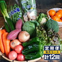 【ふるさと納税】【定期便 毎月コース】 野菜のプロ40年が届ける 厳選野菜セット！ 野菜・フルーツを15～16品目 詰め合わせ 計12回 おまかせ 新鮮 果物 長崎県産 時津町産 九州産 国産 冷蔵 クール便 送料無料