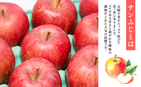 【12月発送】 贈答用サンふじ約5kg（糖度証明書付き） 【青森県 平川市 那由多のりんご園】贈答 青森 青森県産 平川 りんご リンゴ 林檎 くだもの 果物 フルーツ 