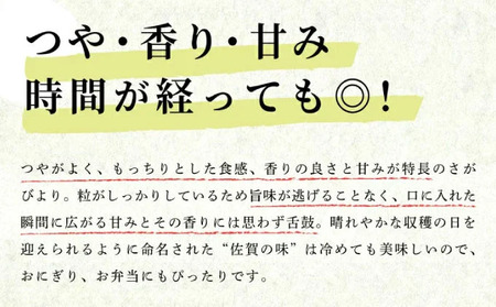 《10営業日以内発送》令和6年産 さがびより（精米）5㎏