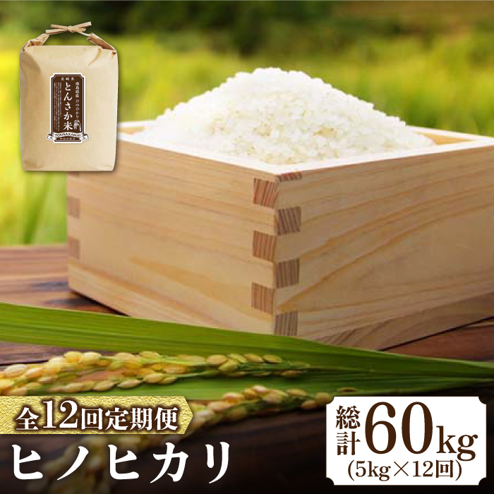 【南島原市産ヒノヒカリ】とんさか米 5kg×12回 定期便 / 米 ヒノヒカリ / 南島原市 / 林田米穀店 [SCO003]