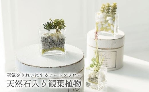 【空気をきれいにするアートフラワー】天然石入り観葉植物 インテリア 空気清浄  浄化 除菌 消臭 花 フラワー インテリア オブジェ ギフト プレゼント 贈り物  記念日 あとりえヒロ 岩手県 北上市 B0428