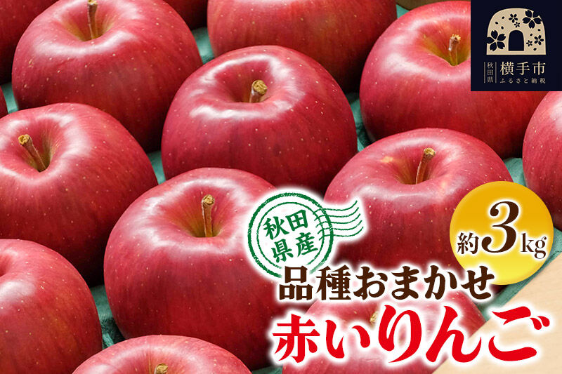 りんご 品種おまかせ 季節の赤いりんご 約3kg（早生ふじ(やたか)、シナノスイート、早生ふじ(こまちふじ)、サンふじ） [秋田県 横手市 林檎 リンゴ 果物 フルーツ 【りんご】特集]