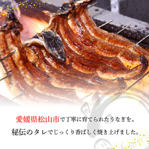 【うなぎ】〈うなぎ屋かわすい〉愛媛県松山市養殖うなぎを使用！うなぎ蒲焼 1本 (1尾：150～169g) 【KWS00601】