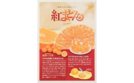 【11月下旬から発送】 紅まどんな【JAえひめ中央】(正規品）○ 3Lから4L 大玉 化粧箱 （愛媛県産 みかん 蜜柑 オレンジ みかん 柑橘 化粧箱 紅まどんな 果物 フルーツ みかん 家庭用 お取