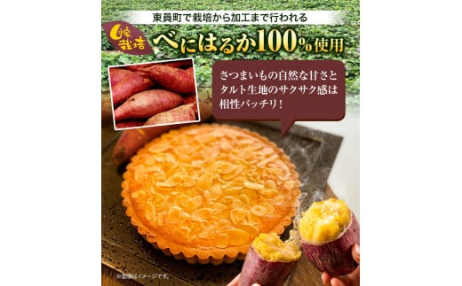純八 さつまいものアーモンドタルト 1ホール 株式会社純八商店《30日以内に出荷予定(土日祝除く)》冷凍 ギフト 送料無料 タルト スイーツ さつまいも 三重県 東員町 サツマイモ アーモンドタルト 