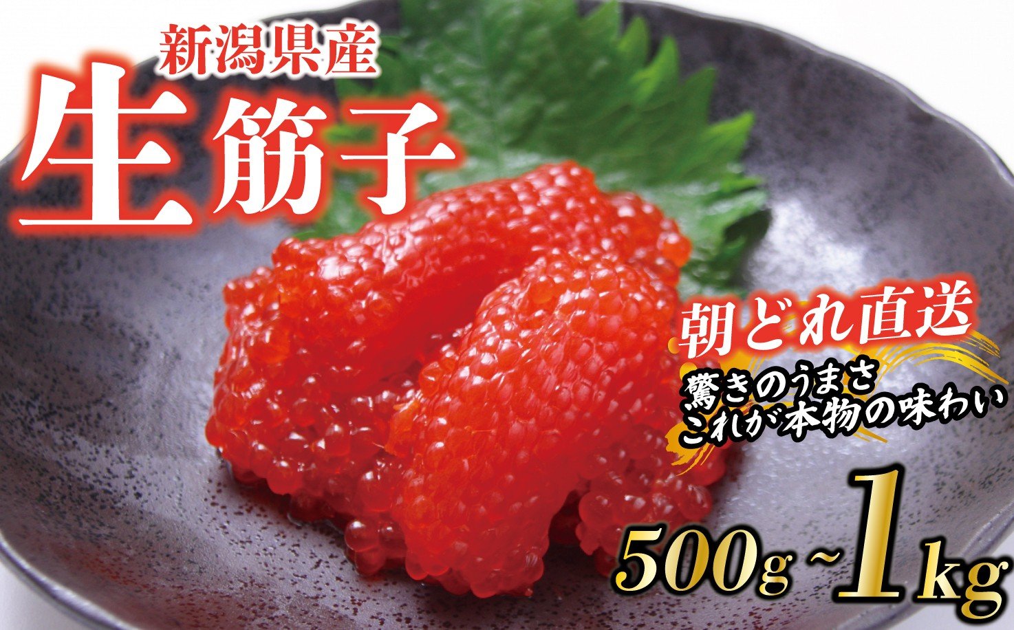 
            【朝どれ直送】筋子 生筋子 選べる 500g 1kg 令和7年産 いくら 鮭 生いくら 海鮮 鮮魚 朝どれ 朝採れ とれたて 国産 新潟県産 お正月 おせち 年末 年始 贈答 J51P
          