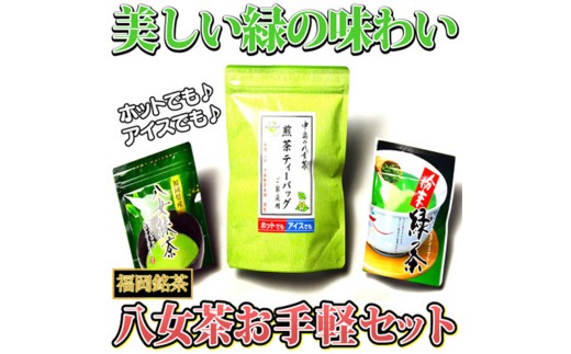 福岡銘茶 八女茶 急須要らずのお手軽セット(便利なチャック付) 【銘茶 福岡銘茶 お取り寄せ 茶 お茶 おちゃ 八女茶 人気 おすすめ ソフトドリンク 飲料 常温 送料無料 CA011】