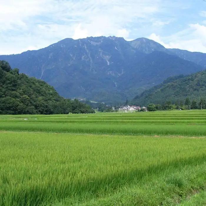 日本酒 八海山 大吟醸 45%精米 720ml×6本｜新潟地酒