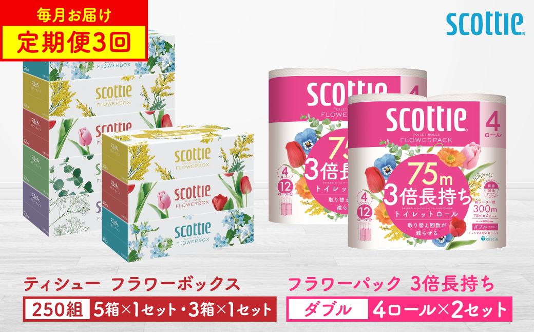 【定期便3回】【毎月1回お届け】【スコッティ】ティシュー フラワーボックス 250組（5箱パック×1セット・3箱パック×1セット）＋フラワーパック 3倍長持ち（4ロール(ダブル)パックx2セット）ティッシュ トイレットペーパー 日用品