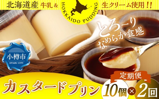 【2回定期便】 カスタードプリン 約900g （約90g×10個） （合計1.8kg） プリン ぷりん カスタード 洋菓子 菓子 お菓子 定期便 北海道 小樽市 冷凍