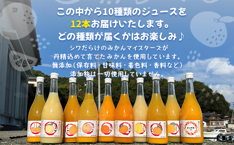 ＜一歩会 ジュエリーボックス ジュース飲み比べセット 720ml×12本入り（果汁100%ストレートジュース）＞『令和8年5月より順次出荷予定』愛媛 みかん ミカン 柑橘 果物 フルーツ 特産品 渡江