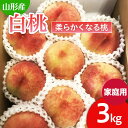 【ふるさと納税】 【ご家庭用】山形の桃(白桃) 3kg(6～12玉) 9月発送 (品種おまかせ)[柔らかくなる桃] 【令和6年産先行予約】FU22-782 フルーツ くだもの 果物 お取り寄せ 先行予約