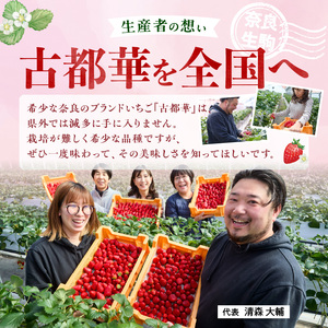 【2027年2月～3月発送】完熟「古都華」奈良ブランドいちご3L～Mサイズ6パック　先行予約 ことか 甘い 糖度 濃い 濃厚 果汁 香り 朝摘み いちご イチゴ 苺 フルーツ 果物 くだもの ご褒美 