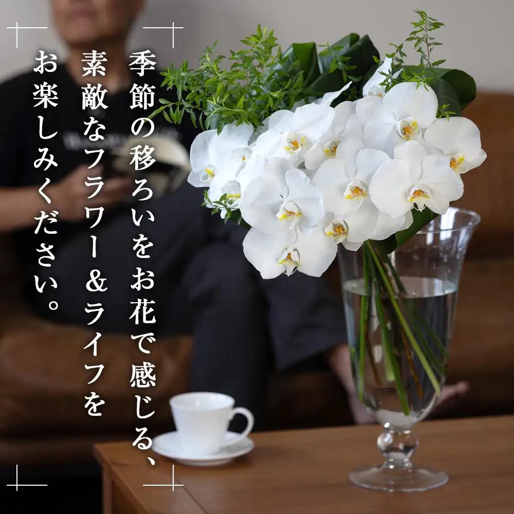 「毎週」届く、旬の花束（52回／1年間）世界らん展 フラワードリームジャパンカップ 国内主要コンテスト受賞 ｜ 花束