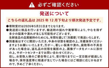ソムリエ ミニトマト  プラチナ 3kg とまと トマト 野菜 やさい 熊本県産 【2025年12月下旬発送開始】