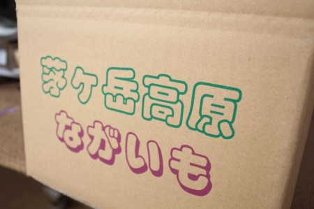茅ヶ岳高原　粘りと味が抜群の長芋　10㎏箱 長芋 長いも 10kg 約6～10本 ながいも 山芋 野菜 とろろ 磯辺揚げ 粘り 期間限定 明野町 茅ヶ岳高原 山梨県 北杜市