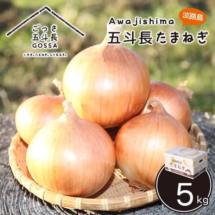 五斗長玉ねぎ 10kg　玉ねぎ