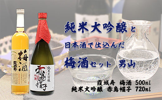 
純米大吟醸と日本酒で仕込んだ梅酒セット 男山 FZ20-048
