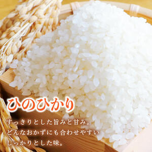 ひのひかり (計5kg) 米 お米 ひのひかり ヒノヒカリ 白米 ご飯 大分県産【118500200】【両院農産】