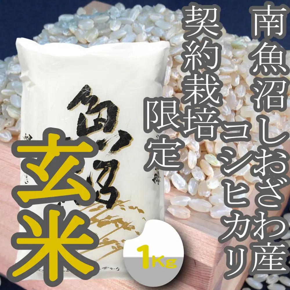 【令和8年産　新米予約】玄米【1Kg】 生産者限定 南魚沼しおざわ産コシヒカリ【銘柄米 玄米 こしひかり コシヒカリ 魚沼産 新潟米 お米 米 こめ コメ ご飯 御飯 ごはん】【2026年10月上旬より1ヶ月以内に順次発送予定】