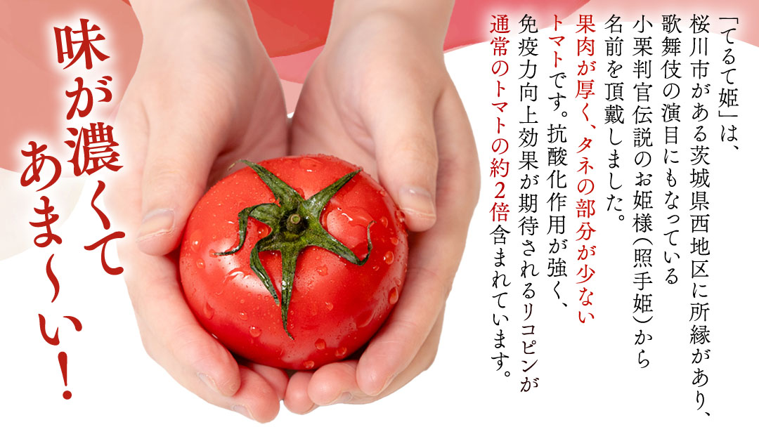 糖度9度以上 トマト スーパーフルーツトマト てるて姫 大箱 約2.6kg × 1箱 【20〜35玉/1箱】 フルーツトマト ブランドトマト とまと てるて姫 野菜 人気 金賞 受賞 ギフト 贈答 茨