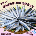 【ふるさと納税】 さんま サンマ 秋刀魚 40尾 訳あって さんま丸干 40本 分け合って 訳あり さんま 丸干し 冷凍 さんま 無添加 国産 北海道産 さんま 国内加工 海の幸 海鮮 干物 冷凍 新鮮 贈り物 人気 お取り寄せ おすそ分け グルメ おつまみ 千葉県 銚子市 ヤマニンベン