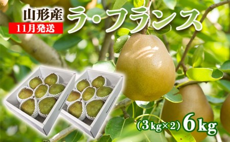 山形のラ・フランス 秀 約6kg(12～18玉・3L～6L)[11月発送]【令和8年産先行予約】  FS25-784
