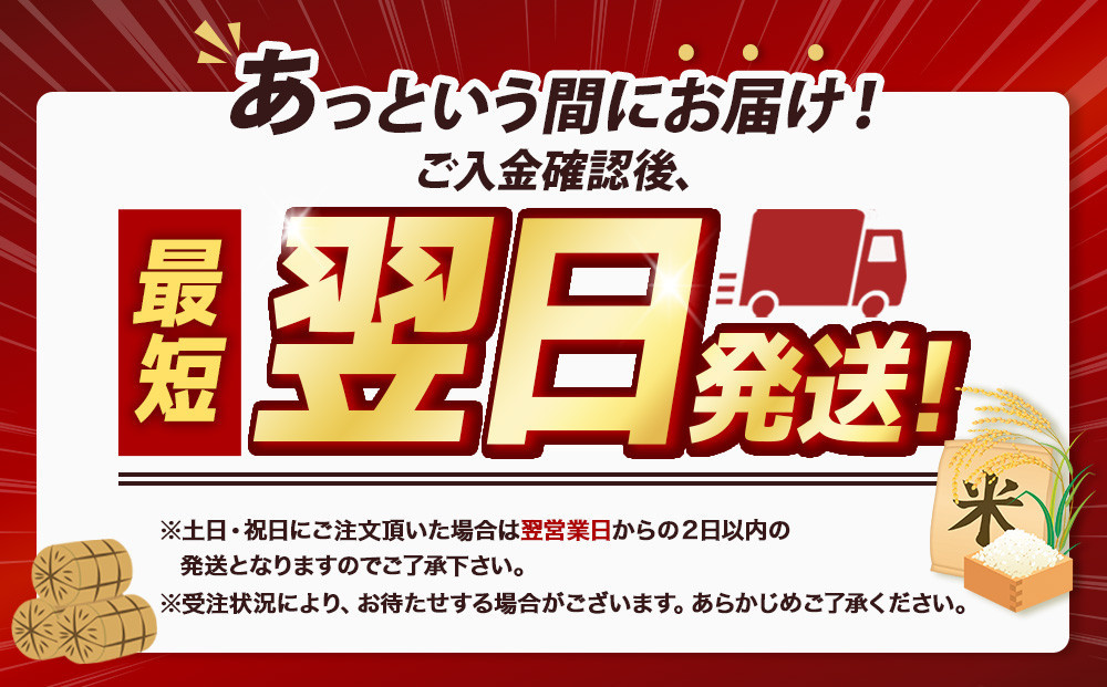 【令和７年産米】北海道産ななつぼし10kg（5kg×2)【国産 白米 精米 お米 単一原料米 厳選 マイスター 生活応援 ななつぼし おすすめ 北海道 美唄市 美唄】