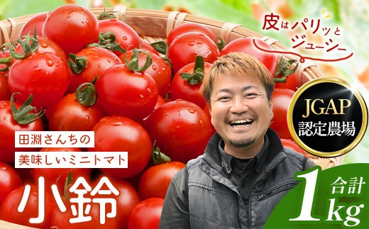 
                  【先行予約・2026年12月より順次発送】田淵さんちの美味しい ミニトマト 小鈴（約1kg）GP-708｜先行予約 野菜 トマト ミニトマト 産地直送 新鮮 おいしい お弁当 サラダ 南大隅町 鹿児島県 根占グリーンプラネット
                