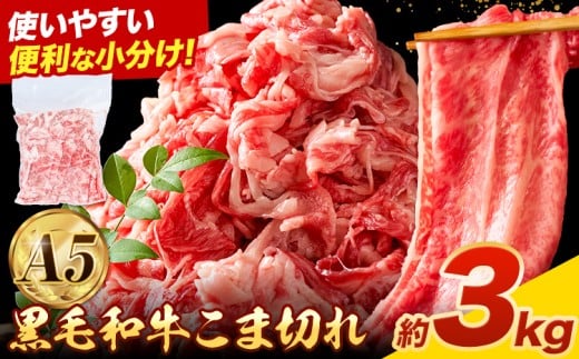 極上 厳選 黒毛和牛 こま切れ 約3kg 牛魔王デミート《30日以内に出荷予定(土日祝除く)》大阪府 羽曳野市 送料無料 牛肉 牛 和牛 小分け