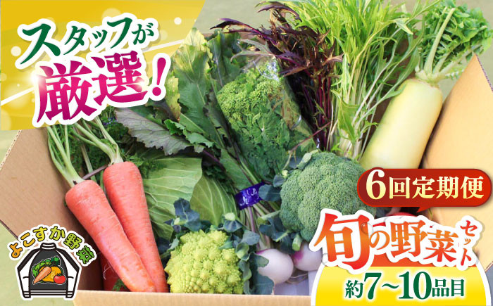 
            【全6回定期便】よこすか野菜セット すかなボックス 野菜 お野菜 季節野菜 やさい 詰め合わせ 詰合せ セット お楽しみ 産地直送 旬 厳選 すかなごっそ 農産物 神奈川県 横須賀市 定期 定期便【JAよこすか葉山】 [AKFO008]
          