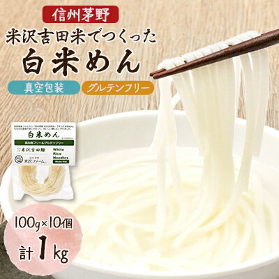 【ふるさと納税】信州茅野 米沢吉田麺　白米めん100g×10個【1495577】