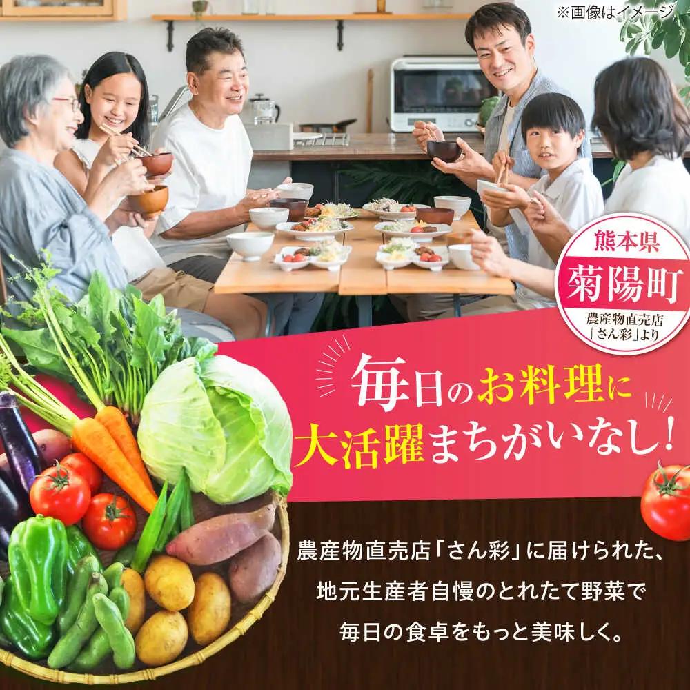 旬の 野菜 セット 約3kg/ 野菜 7-8品程度 BHAK023