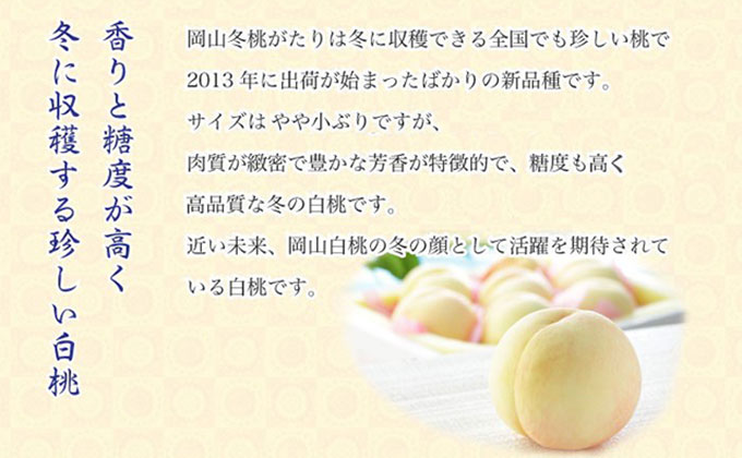 桃 岡山冬桃がたり エース 5～10玉 約1.3kg もも モモ 岡山県産 国産 フルーツ 果物 ギフト JA吉備路