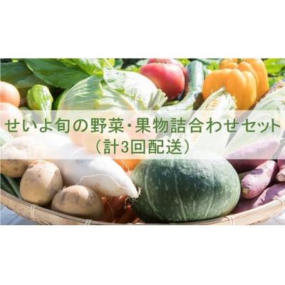 ふるさと納税 西予市 せいよ旬の野菜・果物詰合わせセット　月1回3か月(計3回配送)