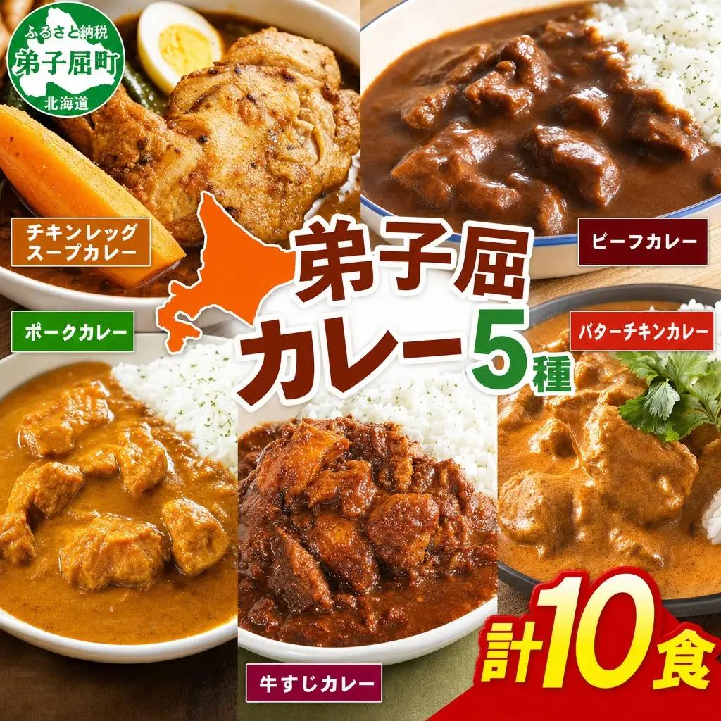 弟子屈 カレー 5種 食べ比べ 計10個 中辛 バターチキンカレー スープカレー ビーフカレー ポークカレー 牛すじカレー 業務用 レトルト 保存食 備蓄 非常食 常温 まとめ買い グルメ 20000円 北海道 弟子屈町 3759