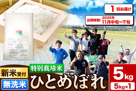 《新米受付》令和7年産【無洗米】特別栽培米 ひとめぼれ 5kg 秋田県産【2025年11月中旬～下旬頃出荷予定】