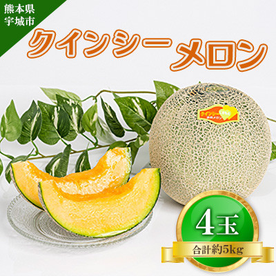 クインシーメロン 4玉入り 合計約5kg【2025年4月下旬から5月上旬発送予定】【配送不可地域：離島】【1592695】