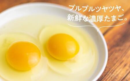 たまご 森のたまご農園 定期便 6ヶ月 24個 定期便 LW101