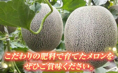 【2025年5月中旬〜発送】肥後グリーンメロン 2玉（合計4kg以上） 果物 フルーツ / 南島原市 / 長崎県農産品流通合同会社[SCB088]